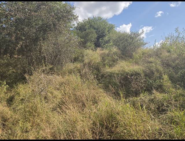 93HA FARM FOR SALE IN MOPANE